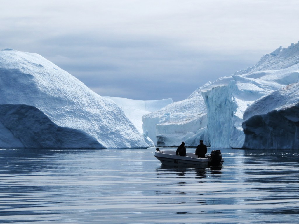 To Cull or Not To Cull: Greenland Debates Fate of vulnerable&nbsp;Shark